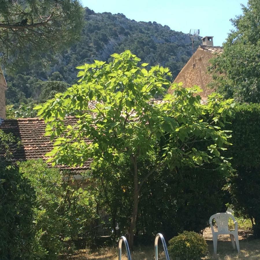 Maison Daumas Billard Francais Et Piscine Robion en Luberon Екстер'єр фото